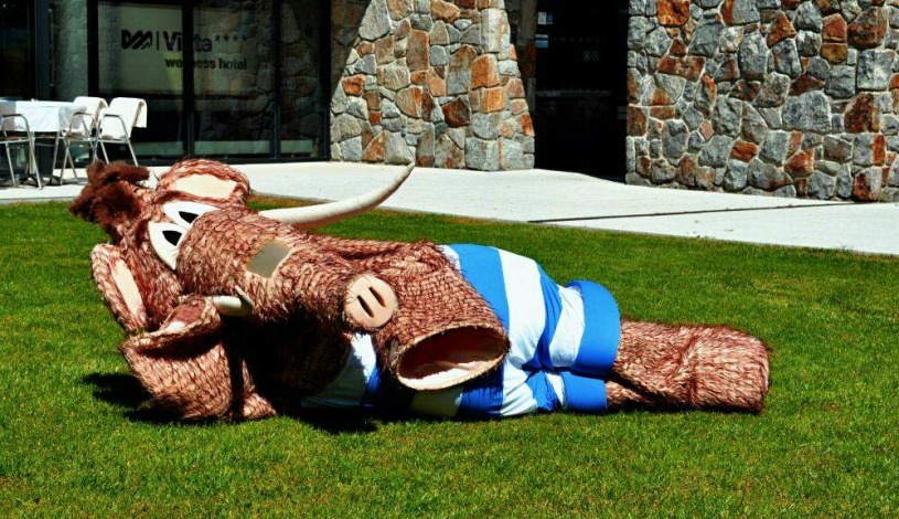 Wellness hotel Vista Dolní Morava